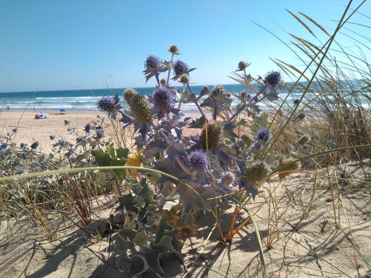Caparica For Rent Apartment