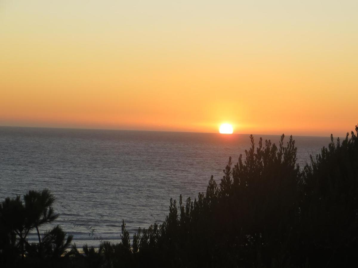 Apartment Caparica For Rent Costa da Caparica
