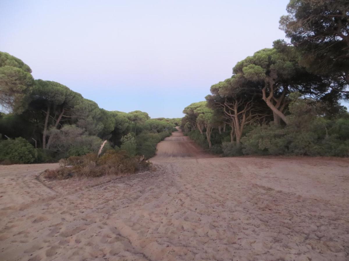 Apartment Caparica For Rent