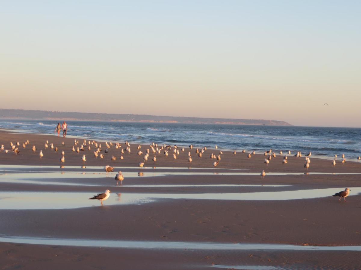Apartment Caparica For Rent Costa da Caparica