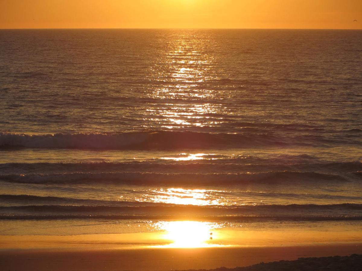 Caparica For Rent *